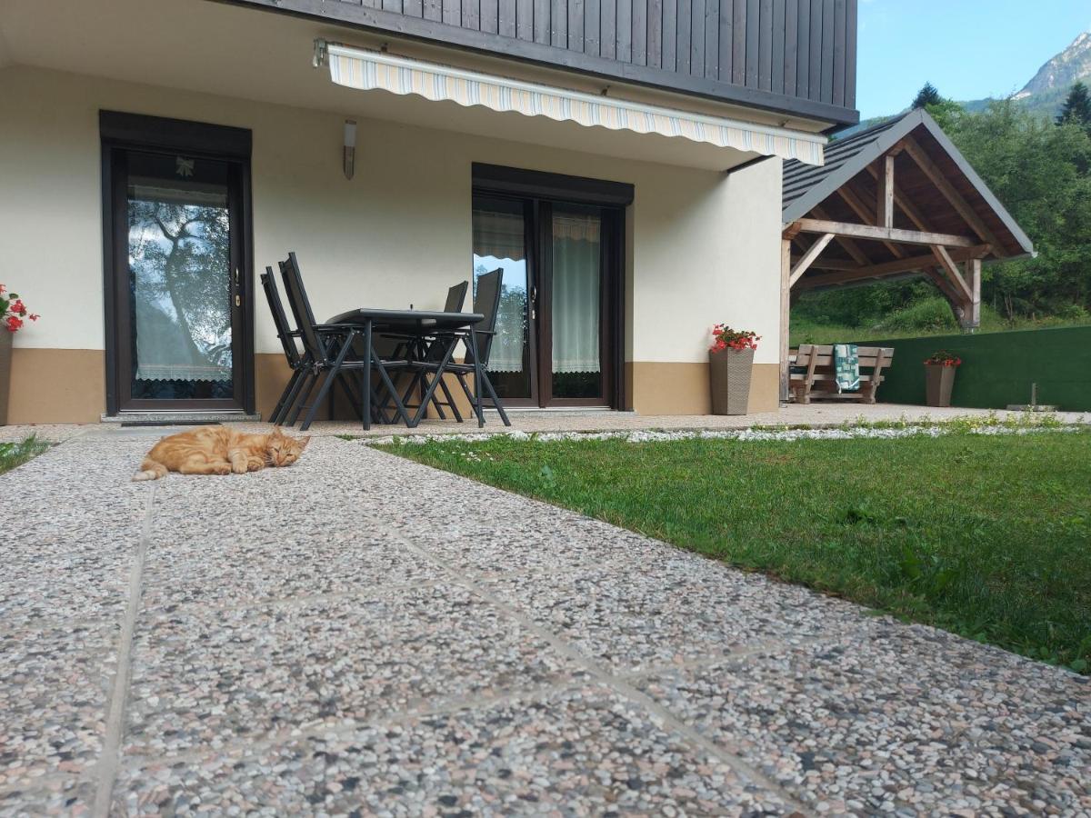 Apartmaji Katrc Soca Exterior photo
